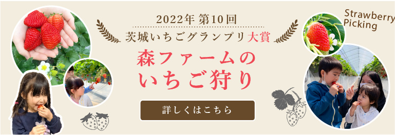 採れたてのいちごと、いちご狩りを楽しむ子供達